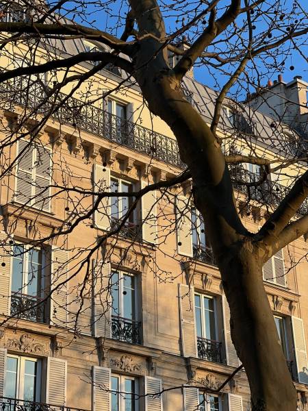 restauration facade pierre paris aerogommage 